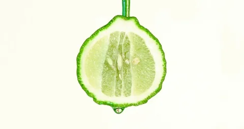 Water or oils dropping on a lime slice , fruit for diet and healthy food Stock Footage 95220840