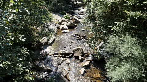 The water of the Ospitale stream among the trees, via Romea Nonantolana 動画素材 109155765