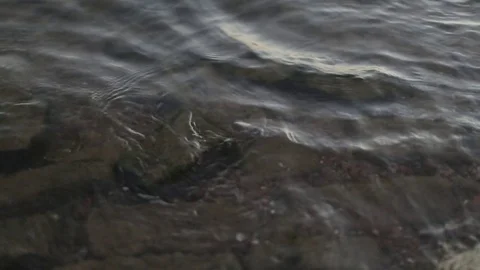 Water over bricks Stock Footage 73338339