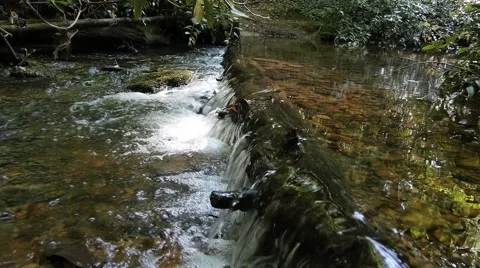 Water over log Stock Footage 50562128