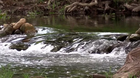 Water over rocks in a clear stream up close Video stock 53339746