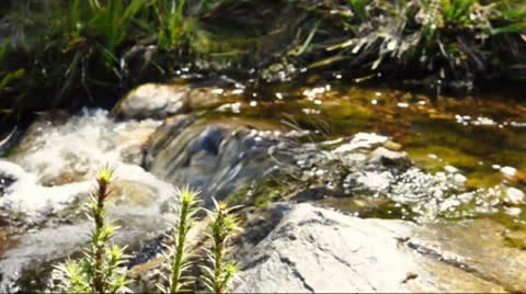 Water Over Rocks Stock Footage 24833586