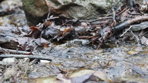 Water Over Rocks Video stock 200784539