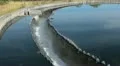 Water overflow from the big sedimentation round drainage HD Footage