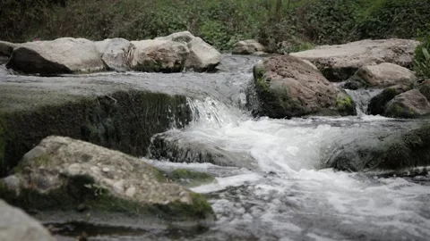 Water overflows over stones in a forest river Stock Footage 150220416