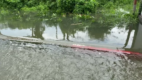 Water overflows from rivers, causing floods on the street Stock Footage 294854420
