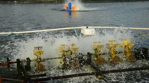 Water oxygenator in fish pond, Java, Indonesia Stock Footage 59526940