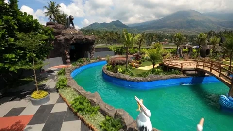 Water park 스톡 동영상 218184484