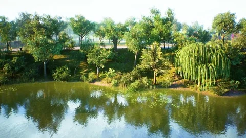 Water at the Park Stock Footage 248712926