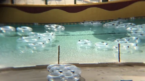 Water park lazy river timelapse 4k Stock Footage 78303778