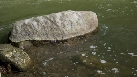 Water passes over rocks at the edge of the river Stock Footage 287995769