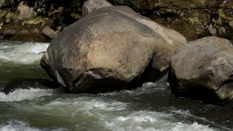 Water passes over rocks at the edge of the river 2 Stock Footage 287995780