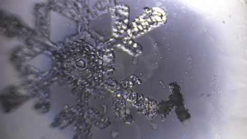 Water passes from a solid state to a liquid under a microscope Stock Footage 86563161