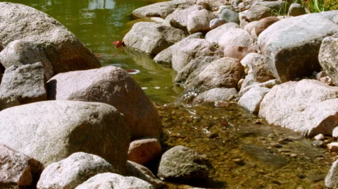Water passes the threshold with stones Vidéo 54218010