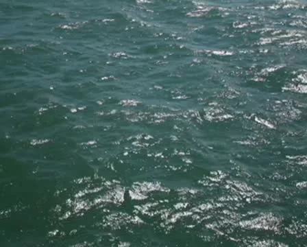 Water Passing 01 PAL Vídeo Stock 8916061