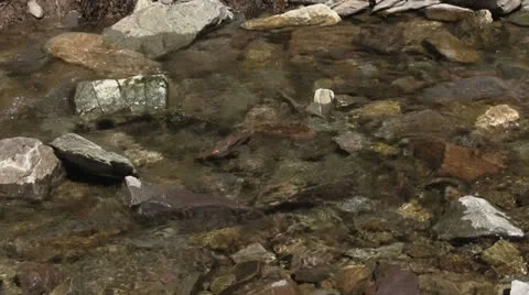 Water passing over rocks on a stream bed Stock-Footage 23241838