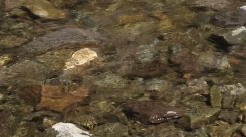 Water passing over rocks on a stream bed Stock-Footage 23242629