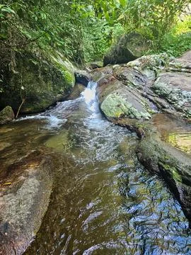 Water Path in Forest Stock Photos