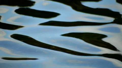 Water pattern. Stock Footage 7731041