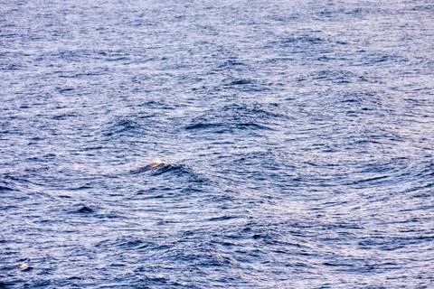 Water Pattern Texture Stock Photos