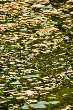 Water Pattern Texture Stock Photos