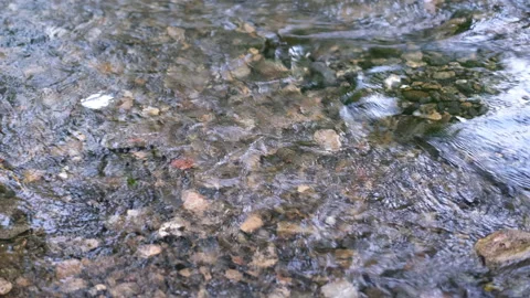 Water patterns  on River and Rocks in the Clean Water Reflaction on the Water Stock Footage 194186126
