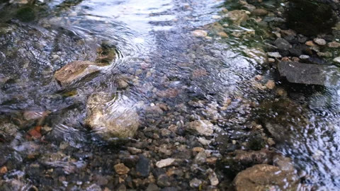 Water patterns  on River and Rocks in the Clean Water Reflaction on the Water Stock Footage 194186244