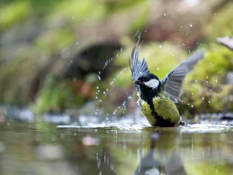 Water Stock Photos