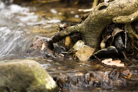 Water Stock Photos
