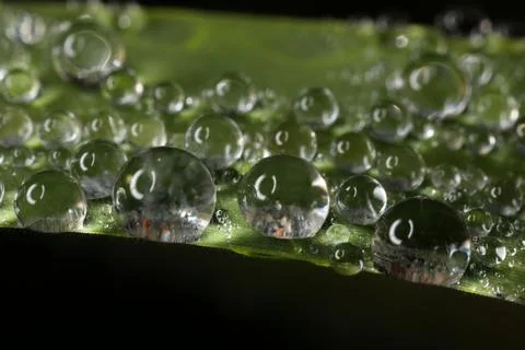 Water Stock Photos