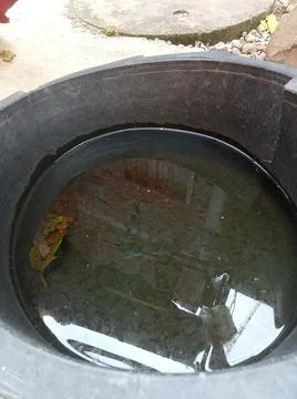 Water 스톡 사진