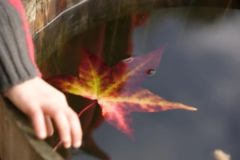 Water Stock Photos