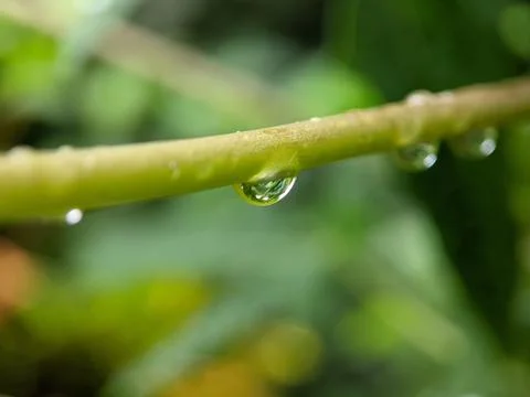 Water Foto stock