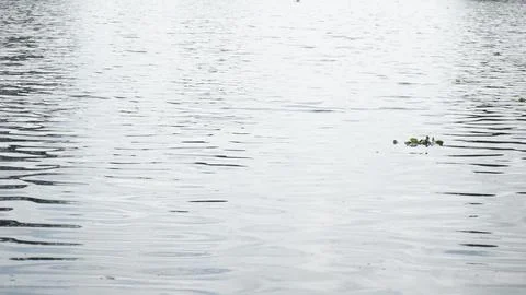 Water Stock Photos