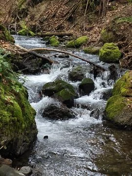 Water Fotos de archivo