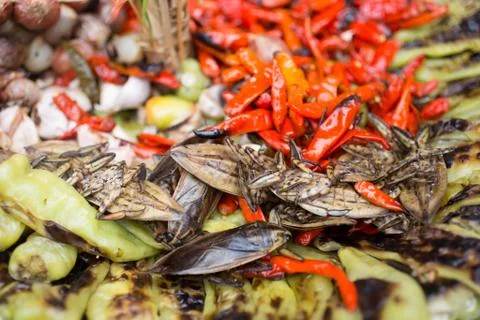 Water pimp Foto stock