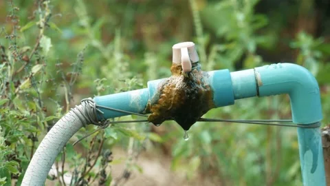 Water pipe with moss Stock Footage 205516212