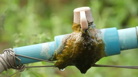 Water pipe with moss Stock Footage 205516348