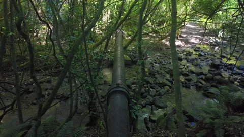 Water pipeline running through a dense rainforest creek Stock Footage 329889544