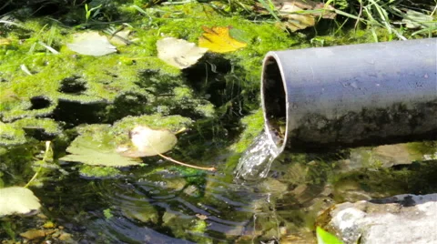 Water pipes spring Stock Footage 54800592