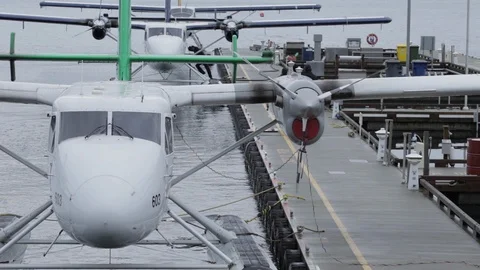 Water Plane At Marina Stock Footage 101981892