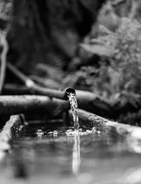 Water from a plastic pipe Stock Photos