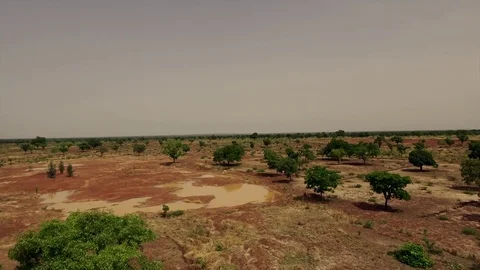 Water points in savannah Stock Footage 80533398