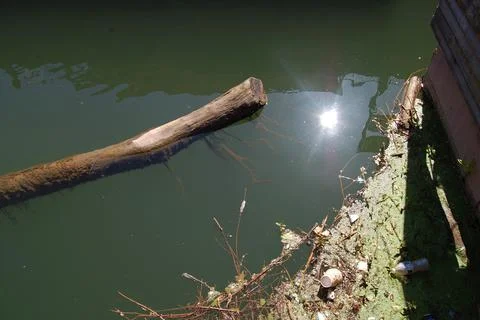 Water Pollution 2 Stock Photos