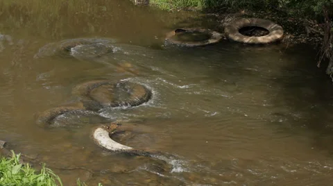 Water pollution - car tires in river Stock Footage 35972747