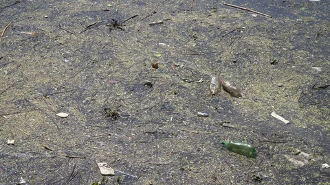 Water Pollution Environmental Vidéo 94236615