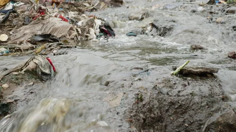 Water pollution environmental Stock Footage 139337909