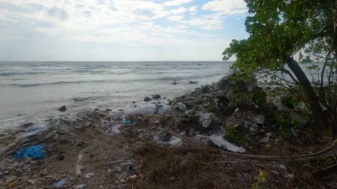 Water pollution․ Environmental pollution, ecological catastrophe. Stock Footage 237158968