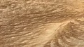 Water pollution foam as a Background,slow motion  HD 동영상