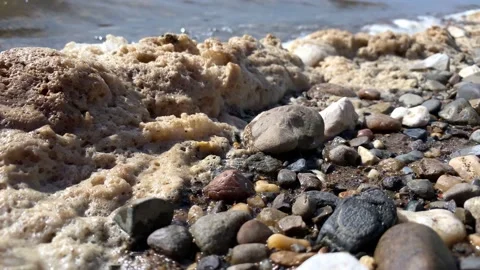 Water pollution. Foam on water surface and stones Stock Footage 155536249